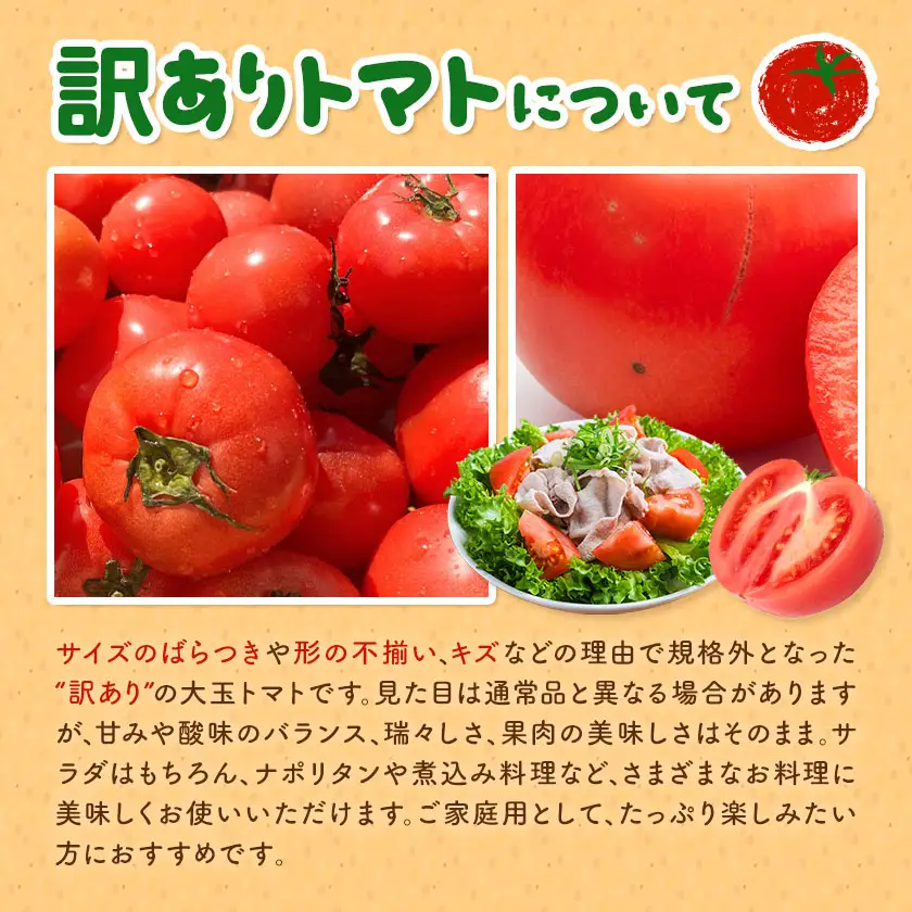 【大津アグリラボ】大玉トマト かれん 訳あり 約4kg 株式会社中九州クボタ《10月上旬-6月下旬頃出荷》熊本県 大津町 トマト 大玉 野菜 訳アリ ご家庭用 傷あり サイズ 不揃い 規格外
