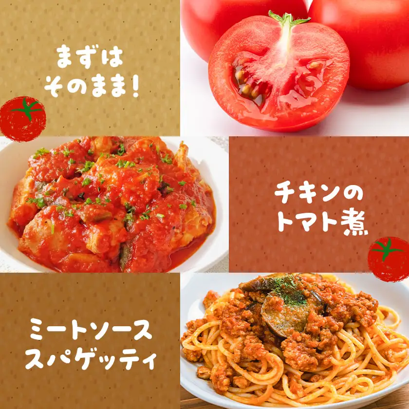【大津アグリラボ】大玉トマト かれん 約2kg 株式会社中九州クボタ《10月上旬-6月下旬頃出荷》熊本県 大津町 トマト 大玉 野菜