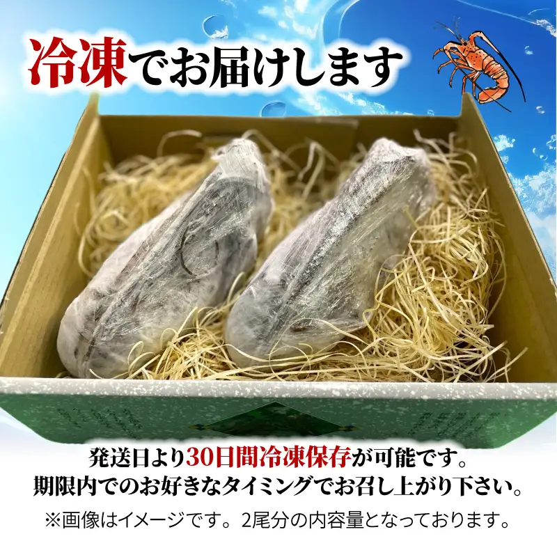 (冷凍) 訳あり 伊勢海老 1尾 加熱用 約200g 海老 伊勢 エビ 伊勢エビ 訳アリ品 訳アリ 海鮮 海の幸 味噌汁 焼き物 伊勢志摩産 三重県 南伊勢町 丸池 10000円 一万円