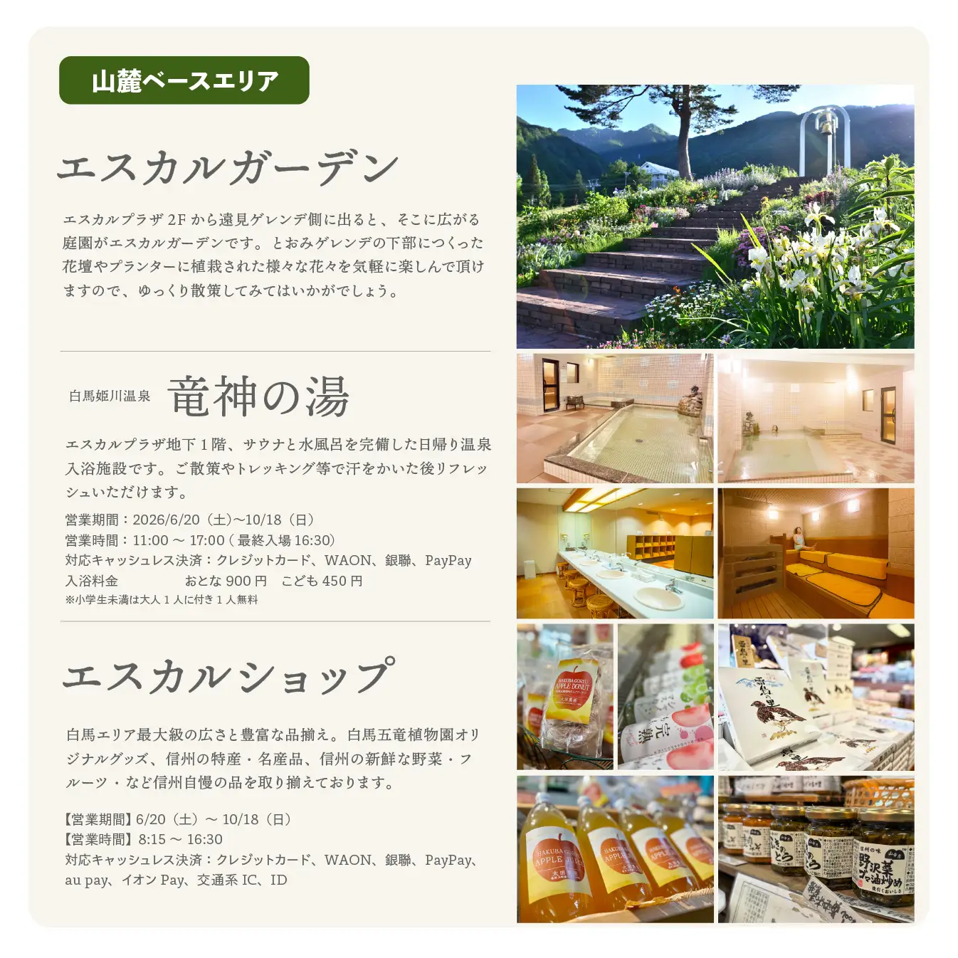 【体験チケット】白馬五竜パノラマセット ゴンドラ往復乗車券 大人2名様 / 長野県白馬村