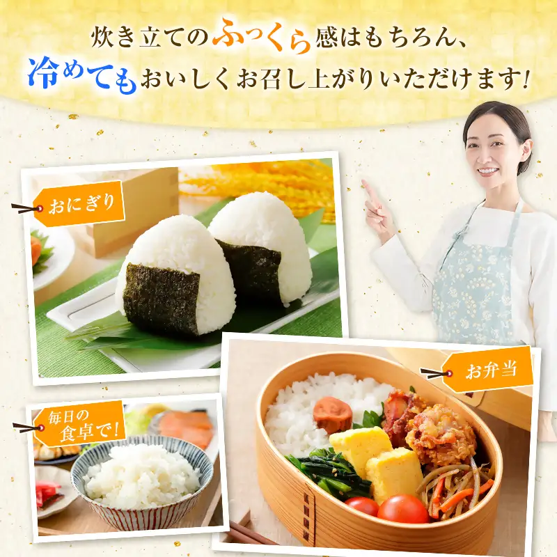 【8月発送開始】令和8年産　宮崎県産無洗米コシヒカリ10㎏（5㎏×2）　新米　<18-55a＞