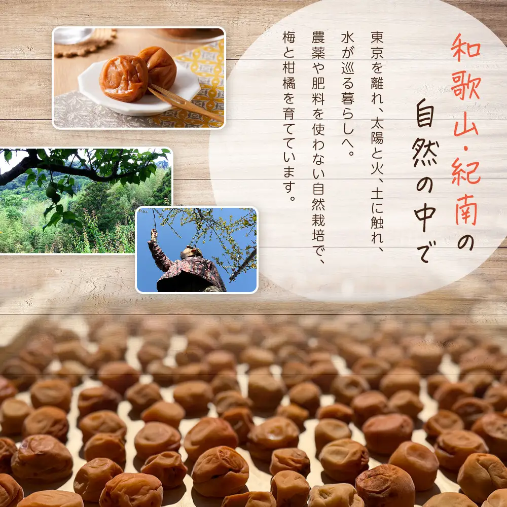 ひとみずの梅干し 500g 自然栽培で育てた紀州南高梅使用 ※栽培期間中、農薬・肥料・堆肥不使用