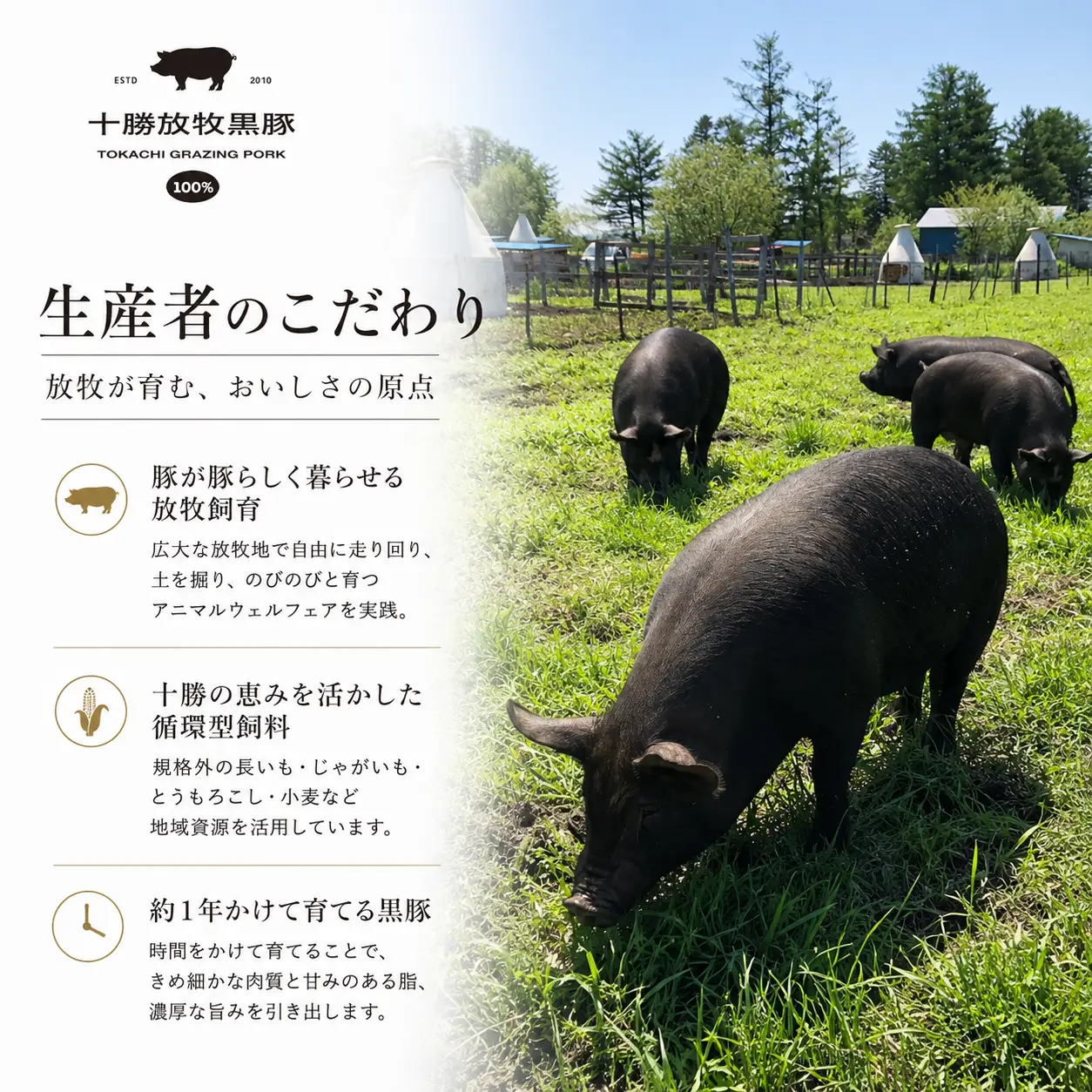 【数量限定】十勝放牧黒豚　極上バルセット SKN023