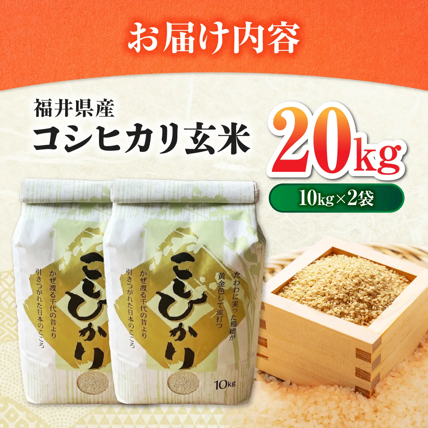 【先行予約/9月中旬以降発送】福井県産 コシヒカリ 玄米 10kg×2 （20kg）[BFDG008]