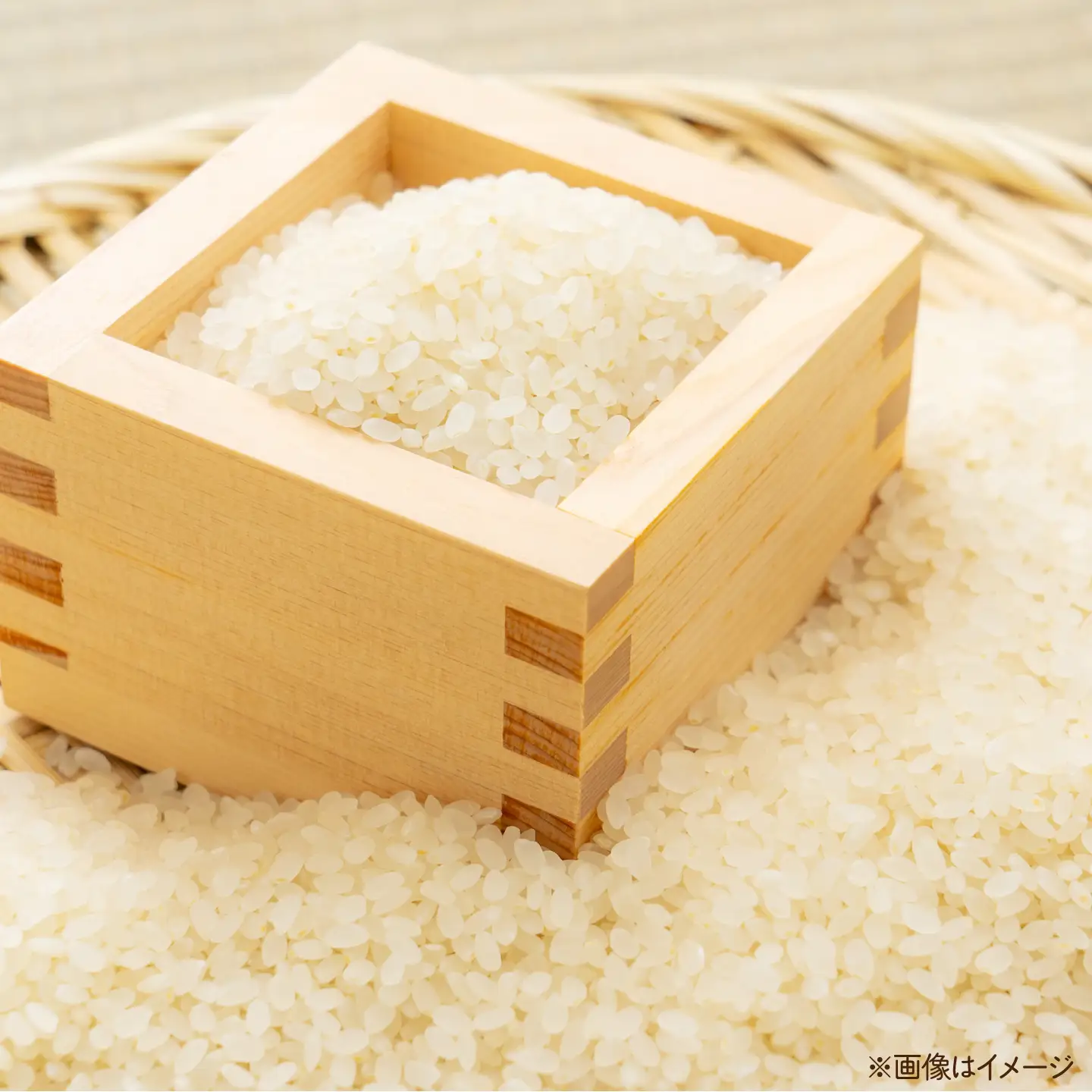 【先行予約/9月中旬以降発送】【令和8年産】小浜のハナエチゼン 米 10kg（5kg×2袋）市左衛門米屋 / 小浜市 [BFEN002]