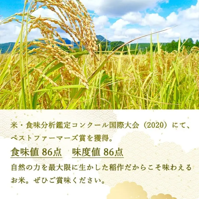 令和8年産先行予約 定期便 4ヶ月 ベストファーマーズ賞受賞 いのちの壱 白米 5kg 無農薬 米 お米 チャック付 チャック 小分け  産地直送 長野 定期 4回