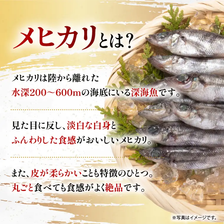丸干し特大めひかり　24本（約650ｇ前後 ）【めひかり メヒカリ 特大 魚 海産物 茨城県 北茨城市 冷凍】（DM003）