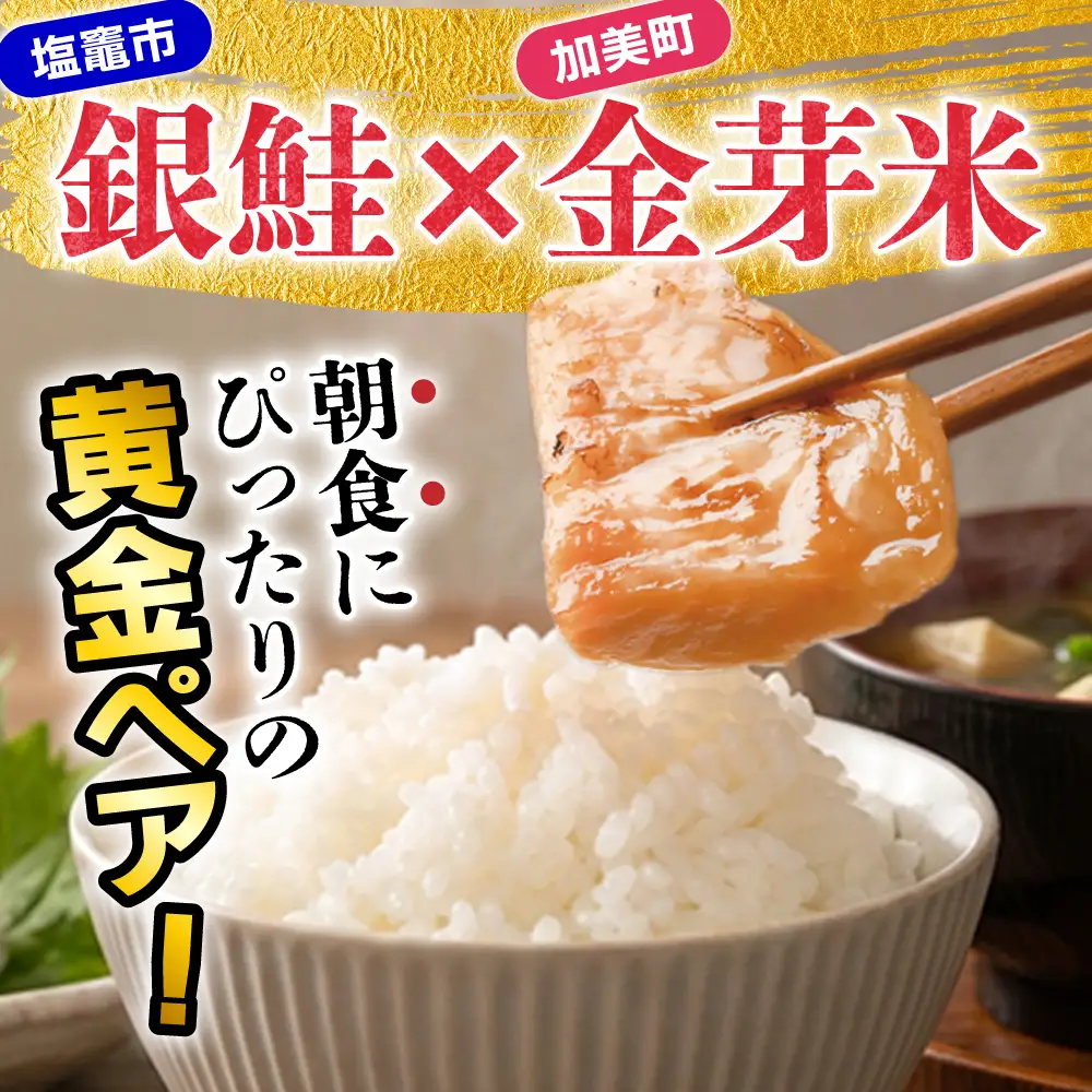 【共通返礼品】宮城主役ごはんセットA【銀鮭（600ｇ×2）×金芽米（5ｋｇ）】 | w-sk-a