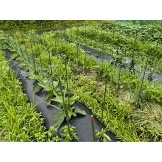 体験チケット 軽井沢自給農講座 自給農Aコース 体験チケット