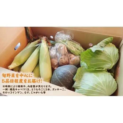 【 2026年 8月上旬 発送開始 】キャベツ 入り！農家さんが選んだ 新鮮 高原 野菜 セット 1～2人様向け 先行予約  キャベツ 群馬 野菜 セット 産地直送 詰め合わせ アソート 期間限定 少量 [AN001tu]