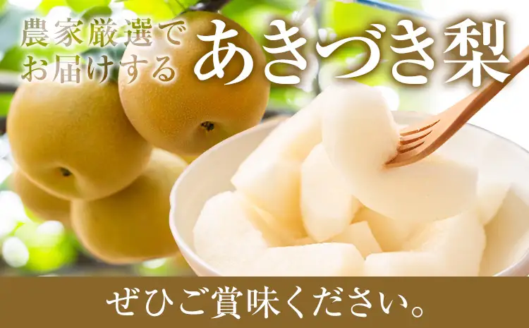 梨 贈答用 あきづき 約3.5kg 梨 熊本