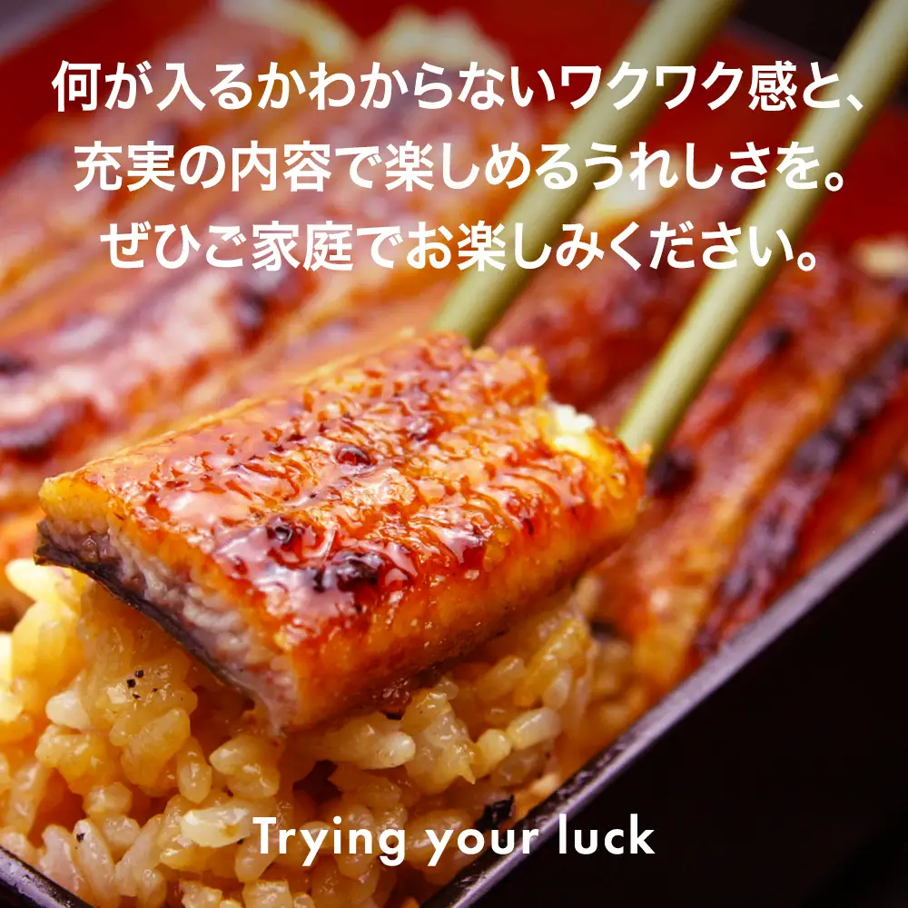 国産 うなぎ 蒲焼き ガチャ 福袋 500g入 うなぎ 鰻 (B1154-1)