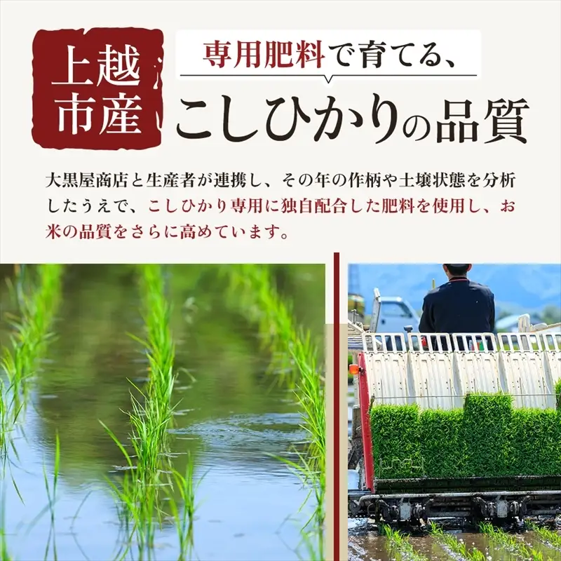 【最短3日発送】コシヒカリ 無洗米 上越産 10kg 精米 コシヒカリ