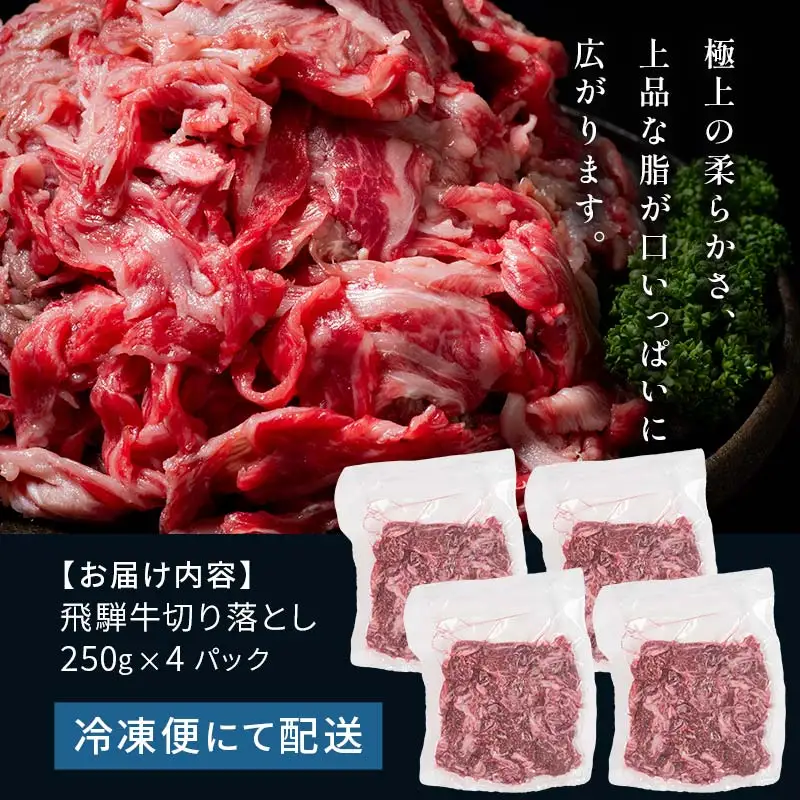 「肉の芸術品」飛騨牛切り落とし（モモ、肩、バラ）1kg（250g×4）【用途は様々！焼肉、BBQ、すき焼き、煮物、牛丼、炒め物など】 F4N-2858