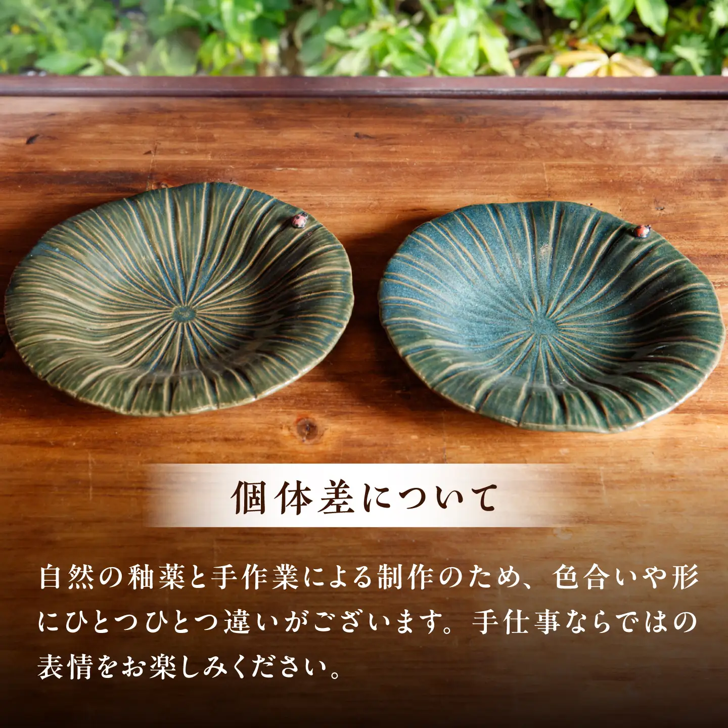 【ながせ陶房】天道虫 睡蓮皿 1点【陶芸作家 長瀬渉】[UB06]