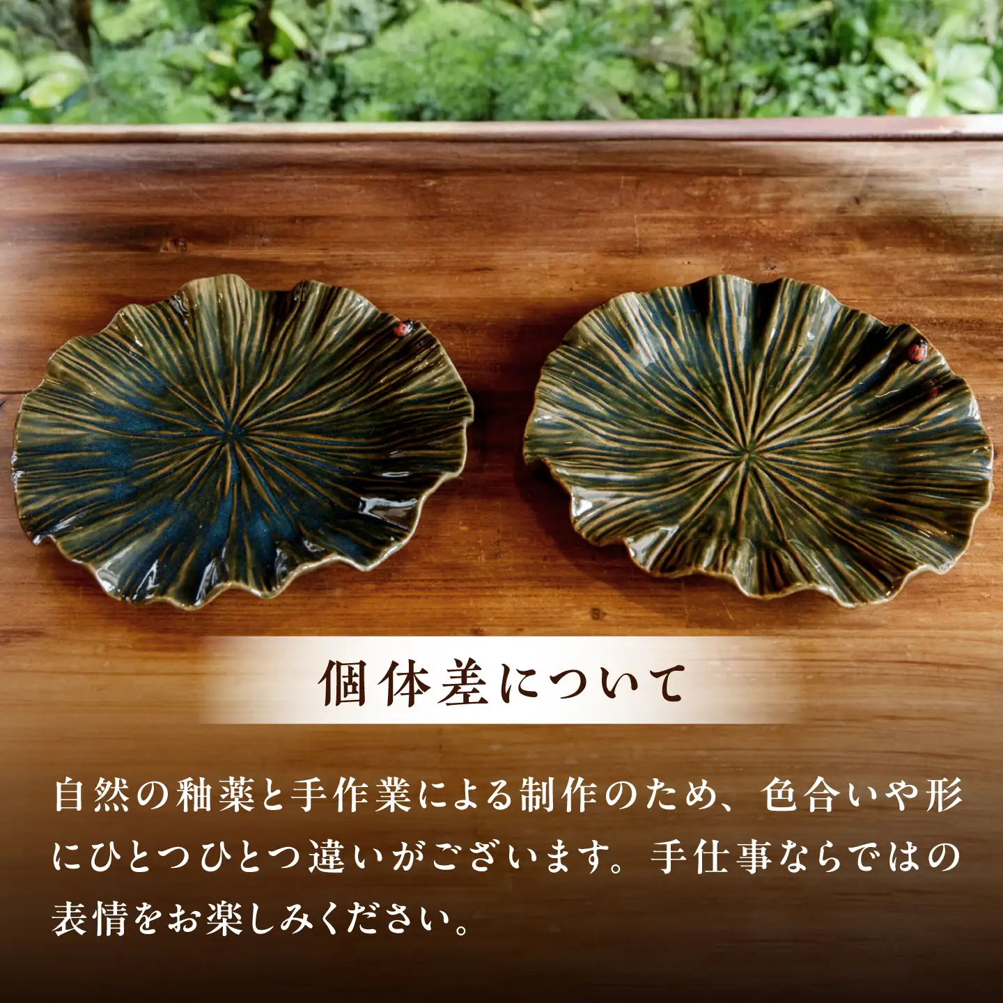 【ながせ陶房】天道虫 蓮プレート 1点【陶芸作家 長瀬渉】[UB07]