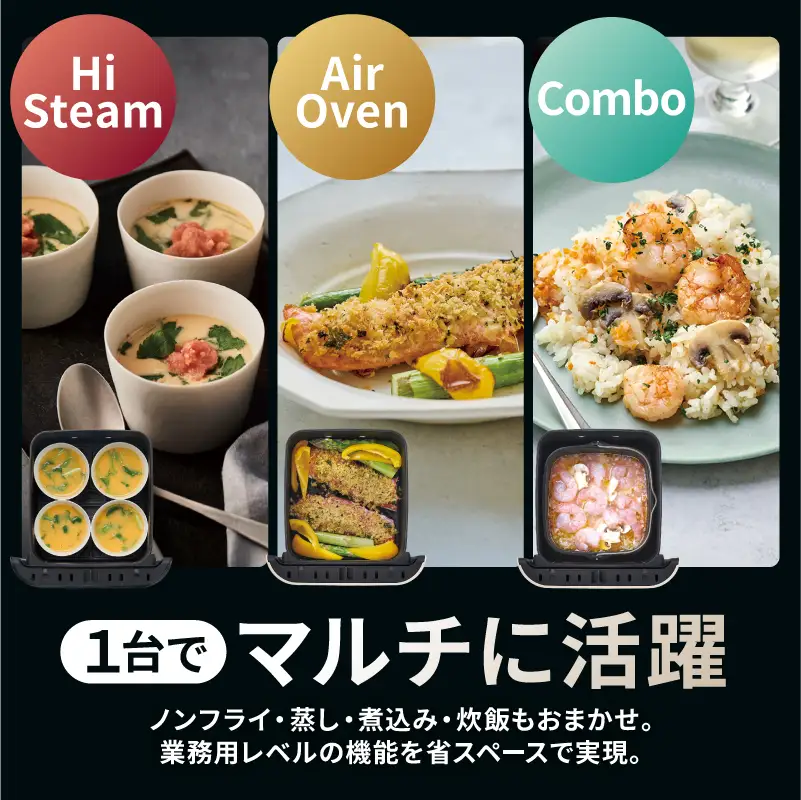 レコルト ハイスチームエアーオーブン ナチュラルブラック RAO-3(BK)  【223018】