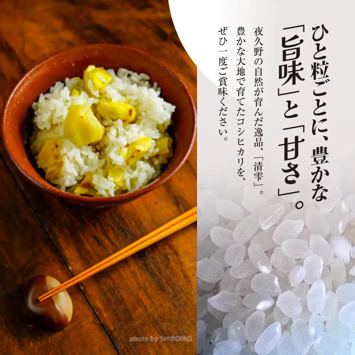 コシヒカリ 白米 令和8年産 3kg 京都夜久野産 清雫(せいな) 