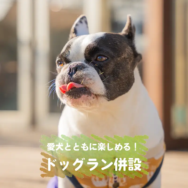 宿泊チケット RVパーク グラウンドサイト 接続の森 静岡県 牧之原市 0548プロジェクト