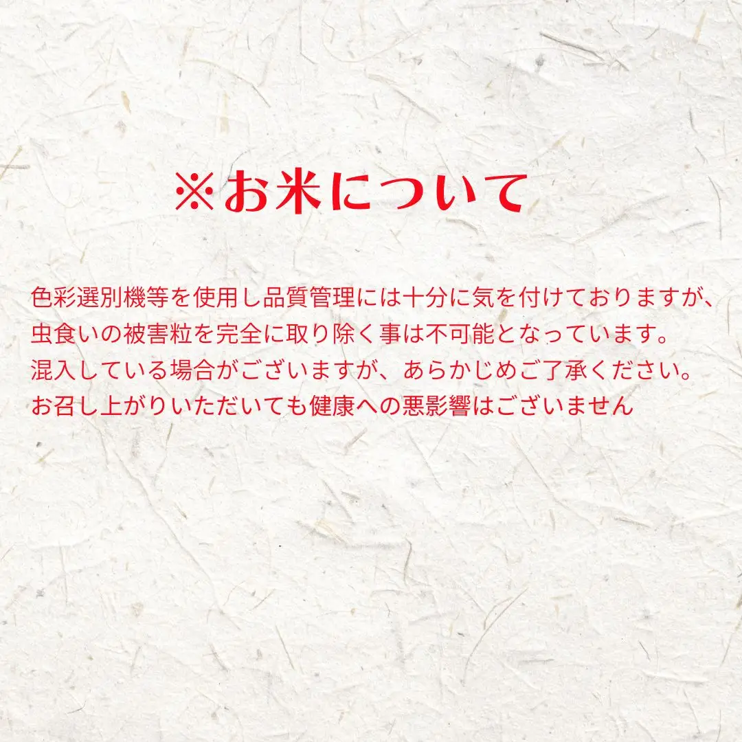【令和8年度産】お米 コシヒカリ 5kg  精米
