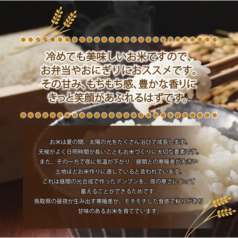 令和7年産　大上農園きぬむすめ　無洗米5kg