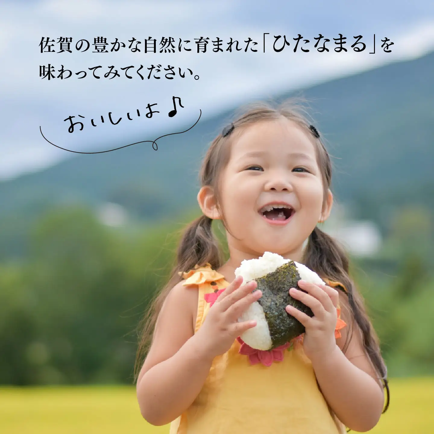 【令和7年産】ひなたまる 精米 10kg(5kg×2袋) (H015231)