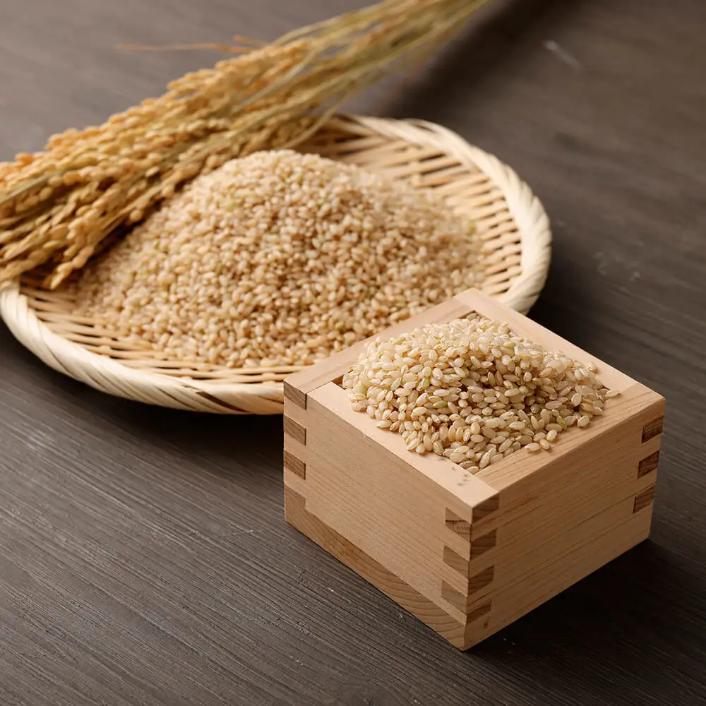 令和8年産 新米 コシヒカリ 玄米20kg（10kg×2袋）お米 健康食品 20000g 20キロ おこめ 米 ごはん こしひかり ブランド米 常温 国産 高知県 土佐清水市【R01737】