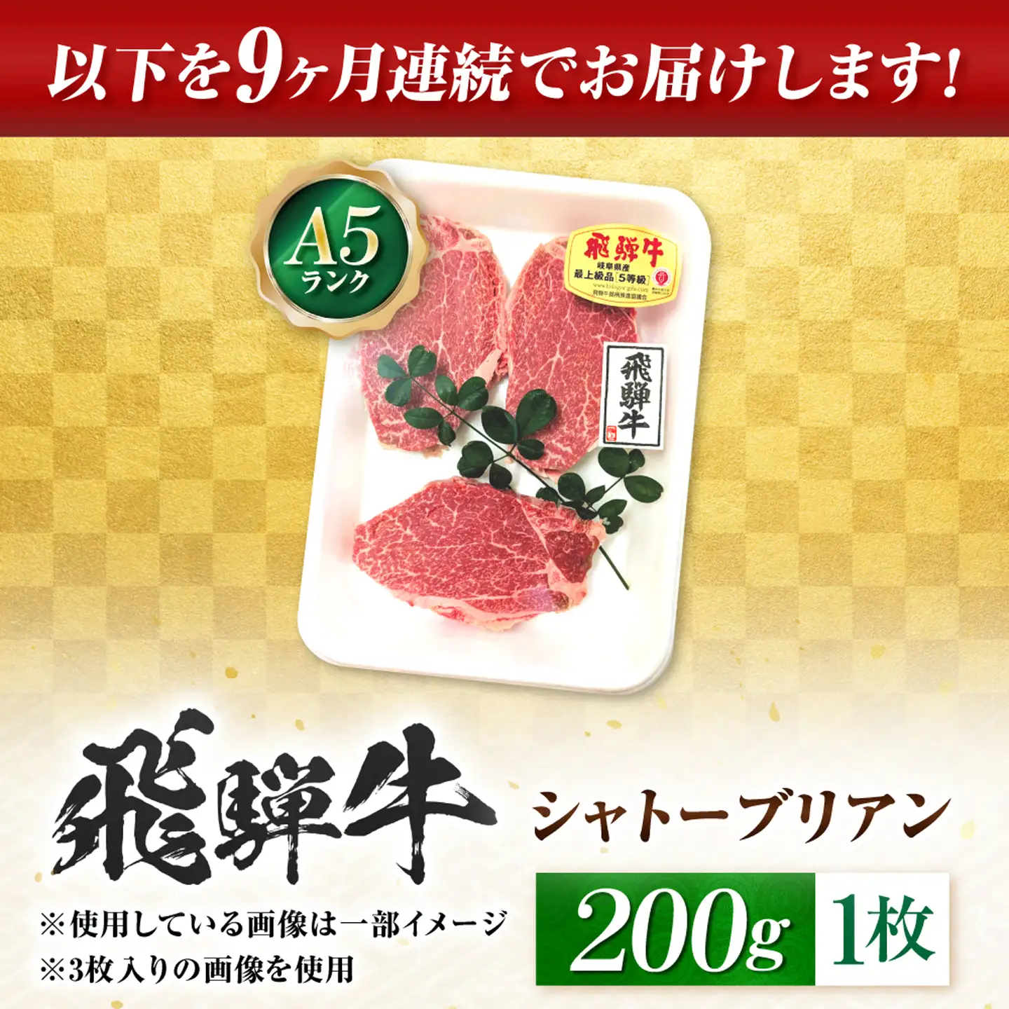 【9回定期便】飛騨牛 A5等級 シャトーブリアンステーキ 1枚（200g/1枚） 牛肉 肉 お肉 ステーキ 岐阜市 / 肉の松久[ANIP078]