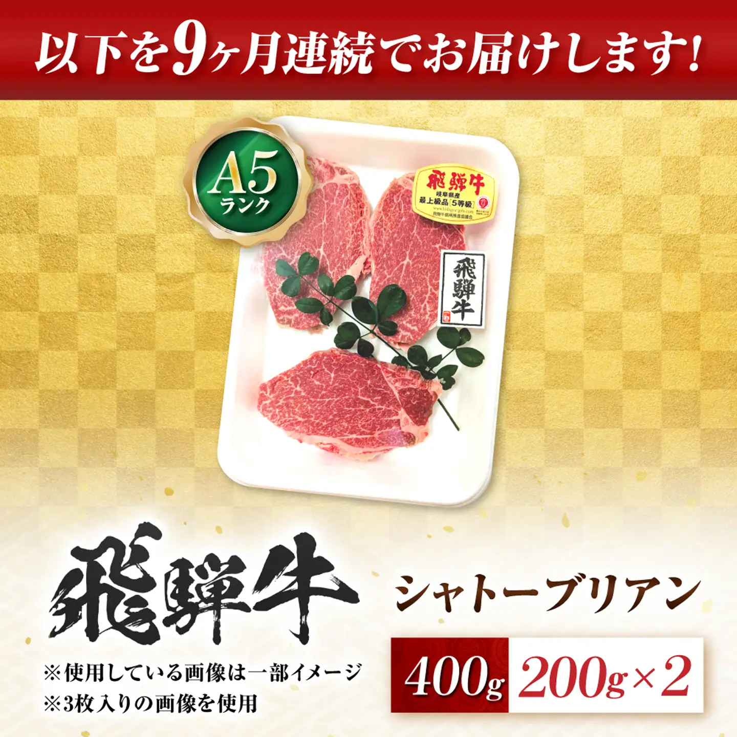 【9回定期便】飛騨牛 A5等級 シャトーブリアンステーキ 2枚（200g/1枚） 牛肉 肉 お肉 ステーキ 岐阜市 / 肉の松久[ANIP083]