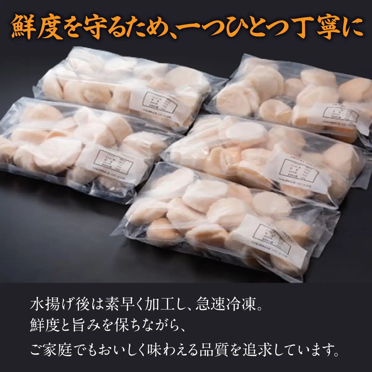 【数量限定】＜網走前浜産＞贅沢海鮮セット【無添加ホタテ貝柱500g(250g×2)・本ズワイガニ甲羅盛り2個(かに肉150g)】 ABAI060