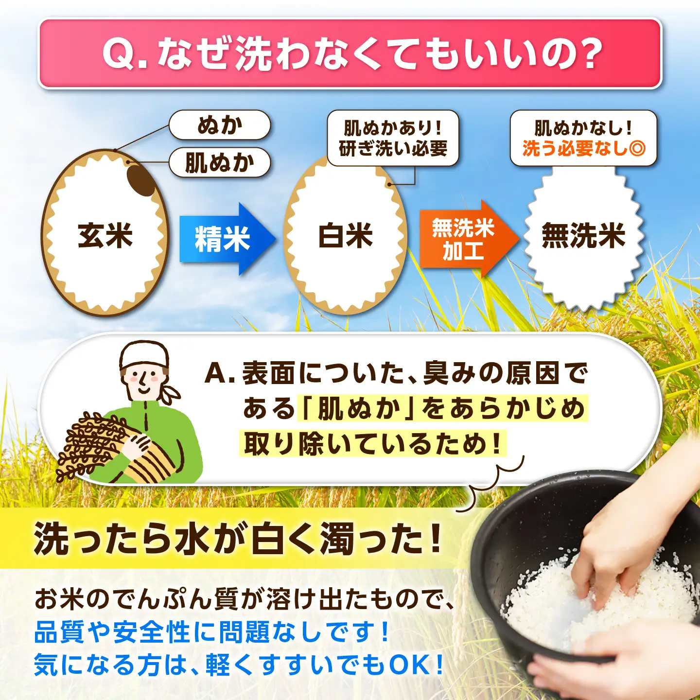 五つ星お米マイスター厳選！さがびより 無洗米 5kg 吉野ヶ里町/大塚米穀店[FCW047]