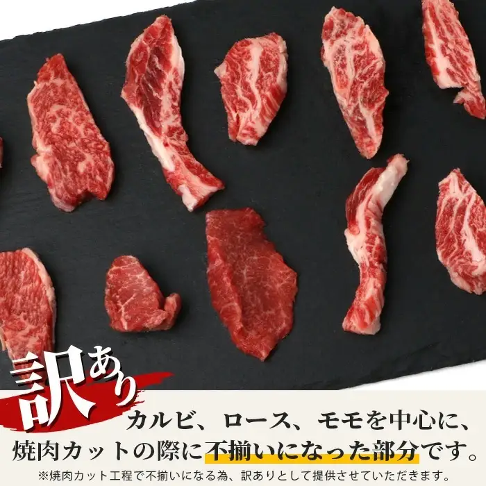 【定期便】《隔月全6回》【訳あり】石垣牛 焼肉用（不揃い）500g
