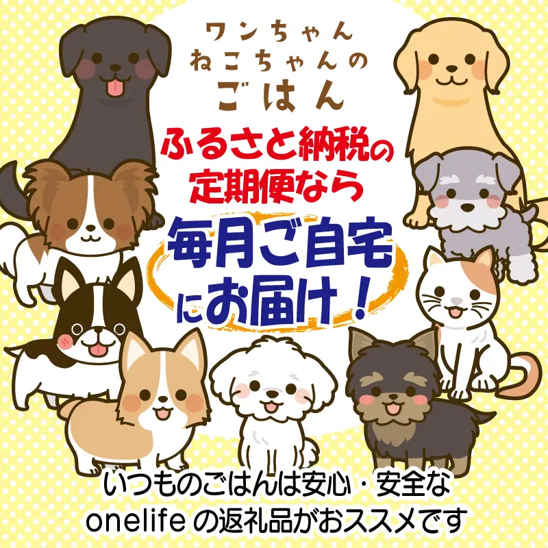 【定期便】国産無添加 キャットフード 1kg×全3回 「いのちのごはん」タンパク質 50％配合タイプ