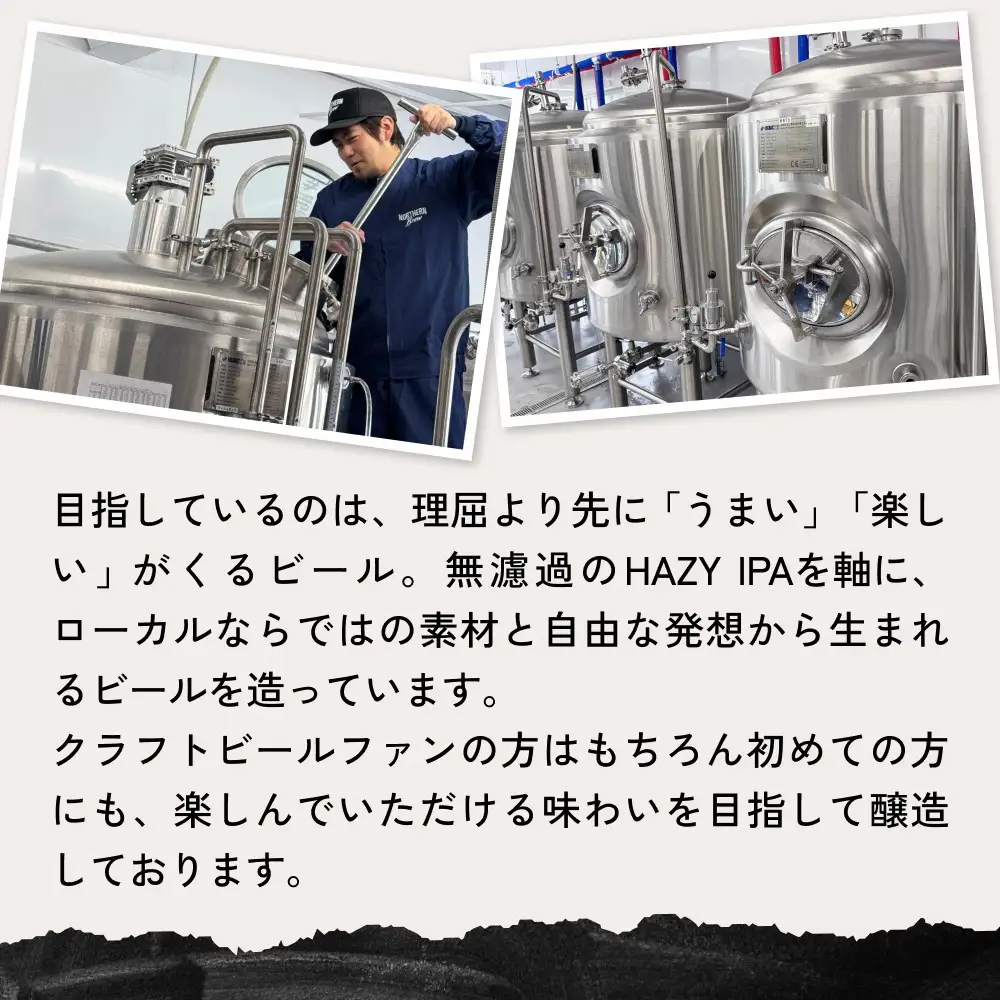【ふるさと納税】クラフトビール  NORTHERN BREW ＜Mango sｍoothie  (マンゴースムージー)＞ 250ml  3本 北海道 安平町 ビール 地ビール 缶ビール スムージー デザート ギフト