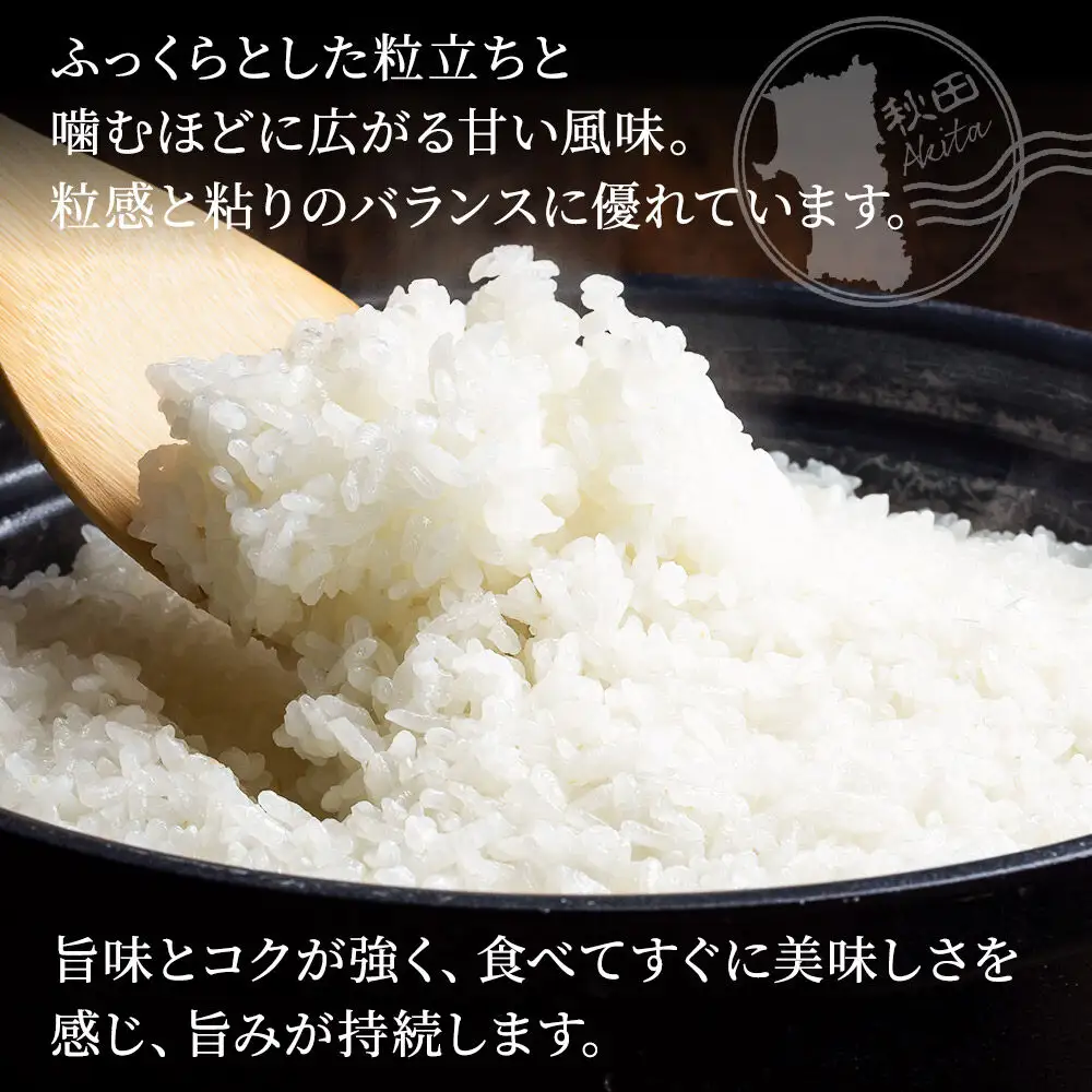 米 サキホコレ【白米（一般精米）】米どころ秋田県産 令和7年産 精米