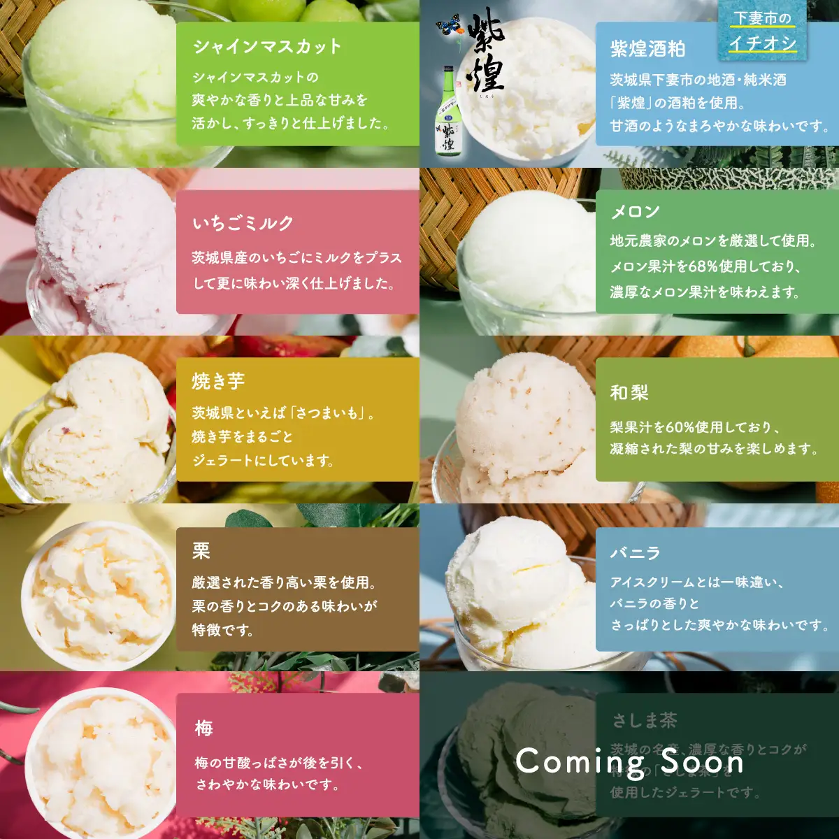 ジェラート 1L×2個 アイス メロン × シャインマスカット ジェラート