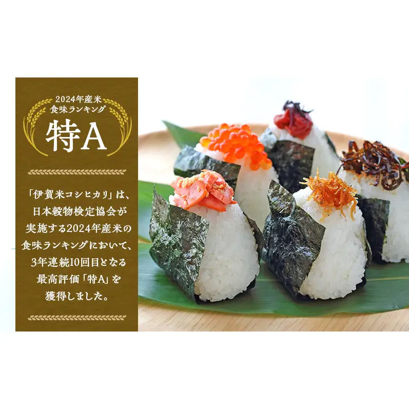 売切御免！専業農家の令和7年産 伊賀米コシヒカリ2kg 三重県 名張市 特