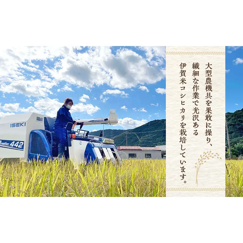 3姉妹が育てたお米　令和7年産　伊賀米コシヒカリ　2kg  三重県 名張市 特A 白米 精米 産直 農家 ご飯 ごはん 新米 寺田農園 こしひかり 令和7年 農家直送 産地直送 国産米 おにぎり 炊飯 おいしい 甘い 三重 清流