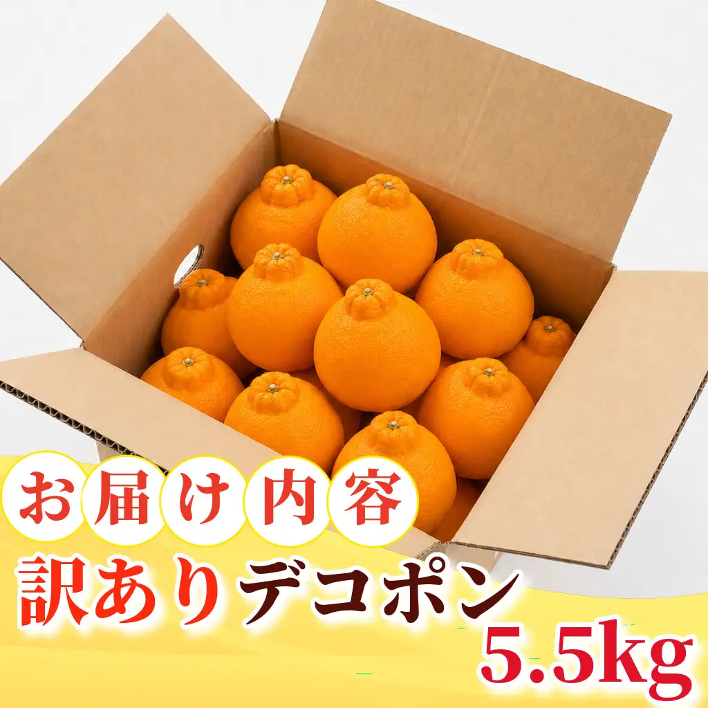 【2月上旬より順次発送】デコポン 訳あり 5.5kg 柑橘 デコポン