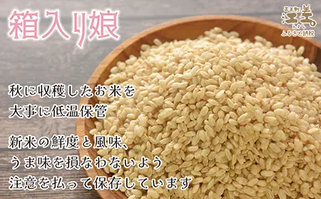 【令和8年産　新米予約：10月より順次発送】《定期便5か月》契約農家栽培 江差追分米『ななつぼし』【5kg×5回】令和8年産　2026年産　北海道江差町産　北海道米　白米　精米　お米　おこめ　こめ　ご飯　ごはん　農家直送　単一原料米　ブランド米　甘みと粘りの調和