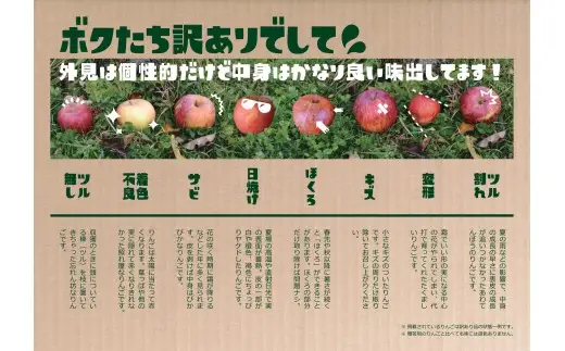 【先行予約】 家庭用りんご 3kg 品種：きおう 訳あり りんご