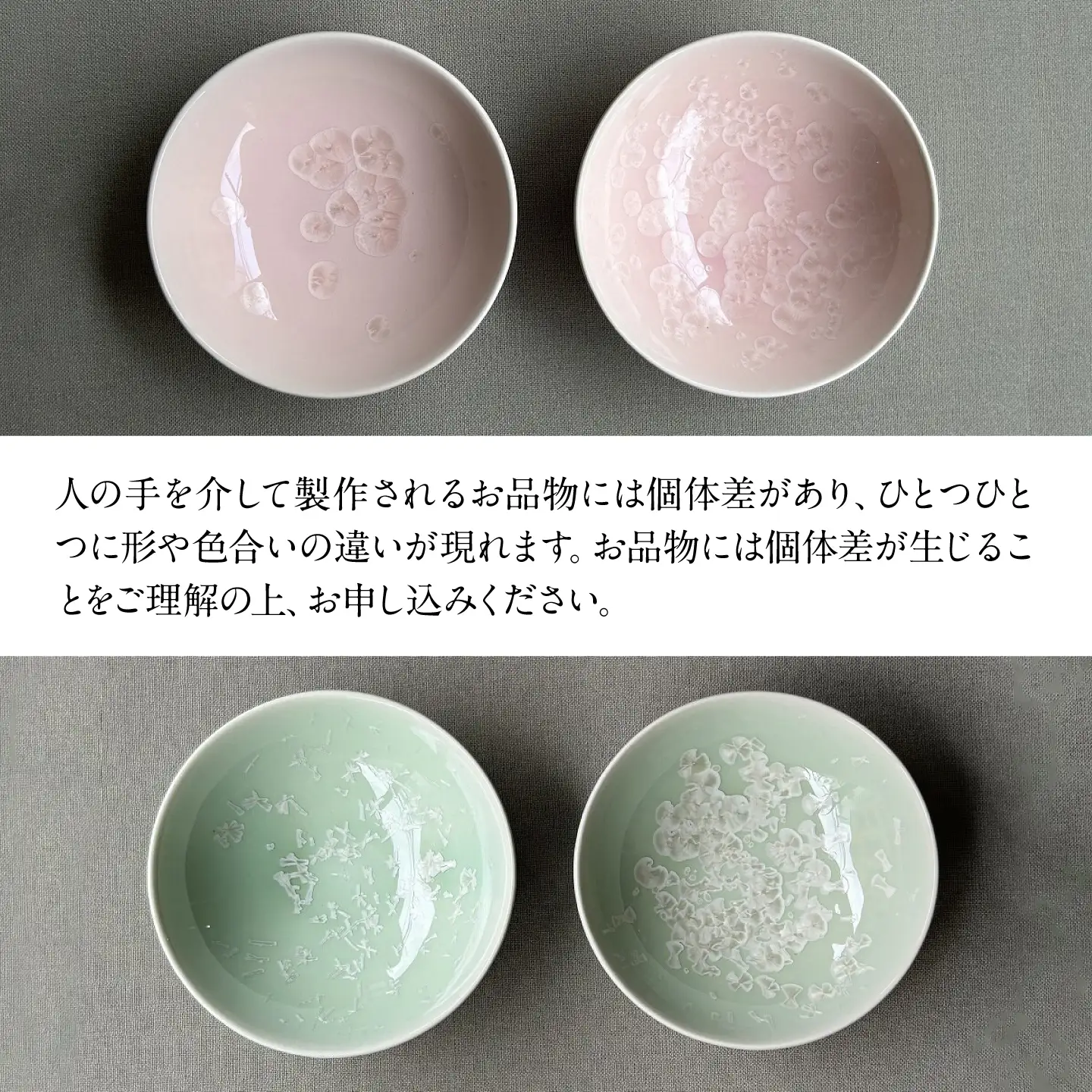 【美濃焼】 花を咲かせるような美しさ 平盃 さくら・緑雪華 2点セット 多治見市 / カネヨ / 壽泉窯[TBO012]