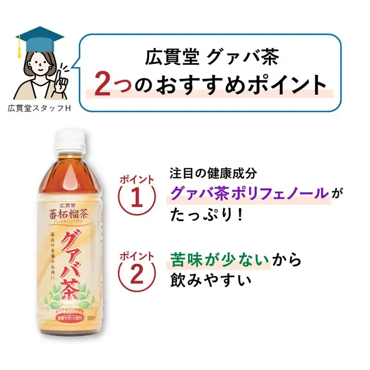 お茶 定期便 グァバ茶 500ml 24本 1ケース 6回 計144本