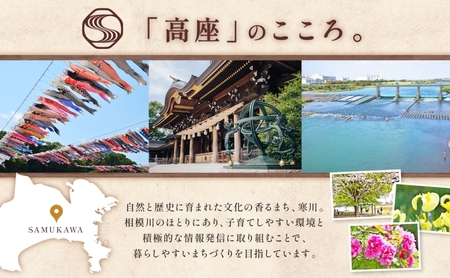 昇龍の滝 小サイズ 滝音 ビオトープ せせらぎ 庭 バルコニー メダカ エサやり不要 癒し ガーデニング リラクゼーション アクアフォレスト 神奈川県寒川町(※鉢はついていません)