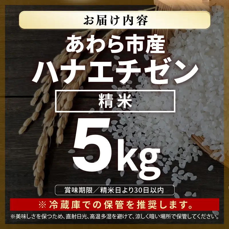 【先行予約】【令和8年産 一等米】ハナエチゼン 精米 5kg（農事組合法人イーノなかのはま100）単一原料米  ※2026年10月より順次発送予定 [aw139-a001]