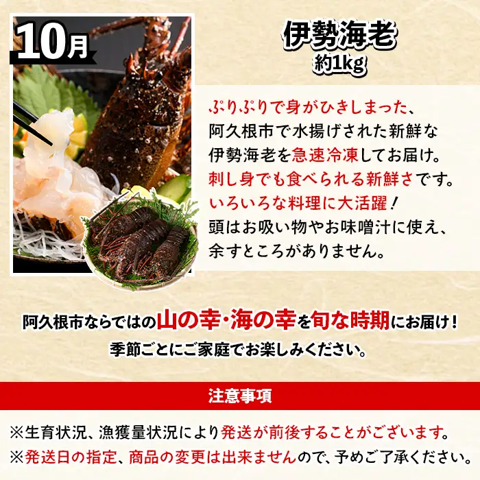 ＜定期便・全6回(偶数月)＞阿久根旬のごちそう定期便(ぼんたん・露地不知火・そら豆・南国グリーンメロン・大玉スイカ・伊勢海老) 国産 フルーツ 果物 柑橘 野菜 豆類 魚介 ボンタン 文旦 そらまめ すいか えび エビ 季節 訳あり 【松永青果】akn053-50
