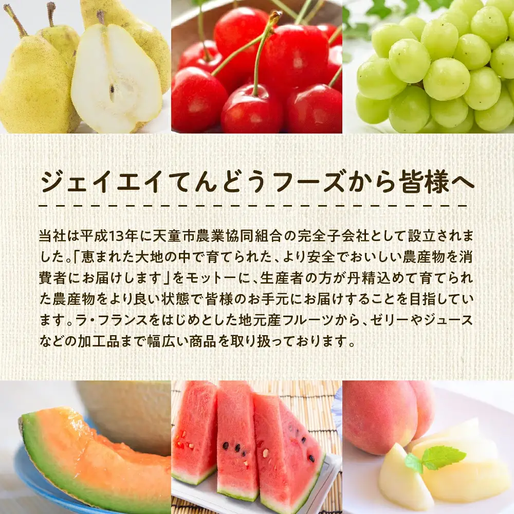 【10月上旬発送】令和8年産 つや姫 10kg 米 精米 山形