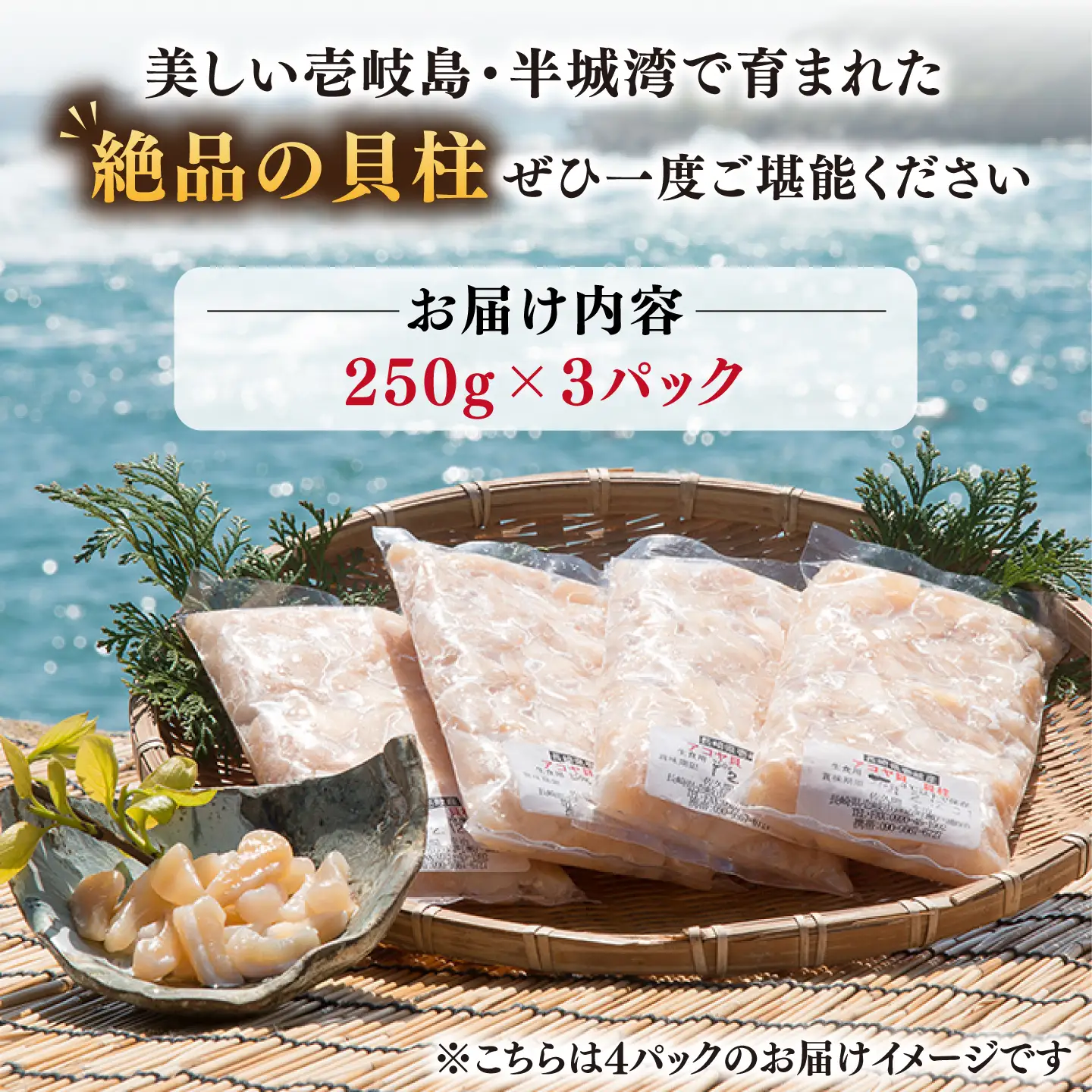 アコヤ貝 貝柱 750g JCJ025