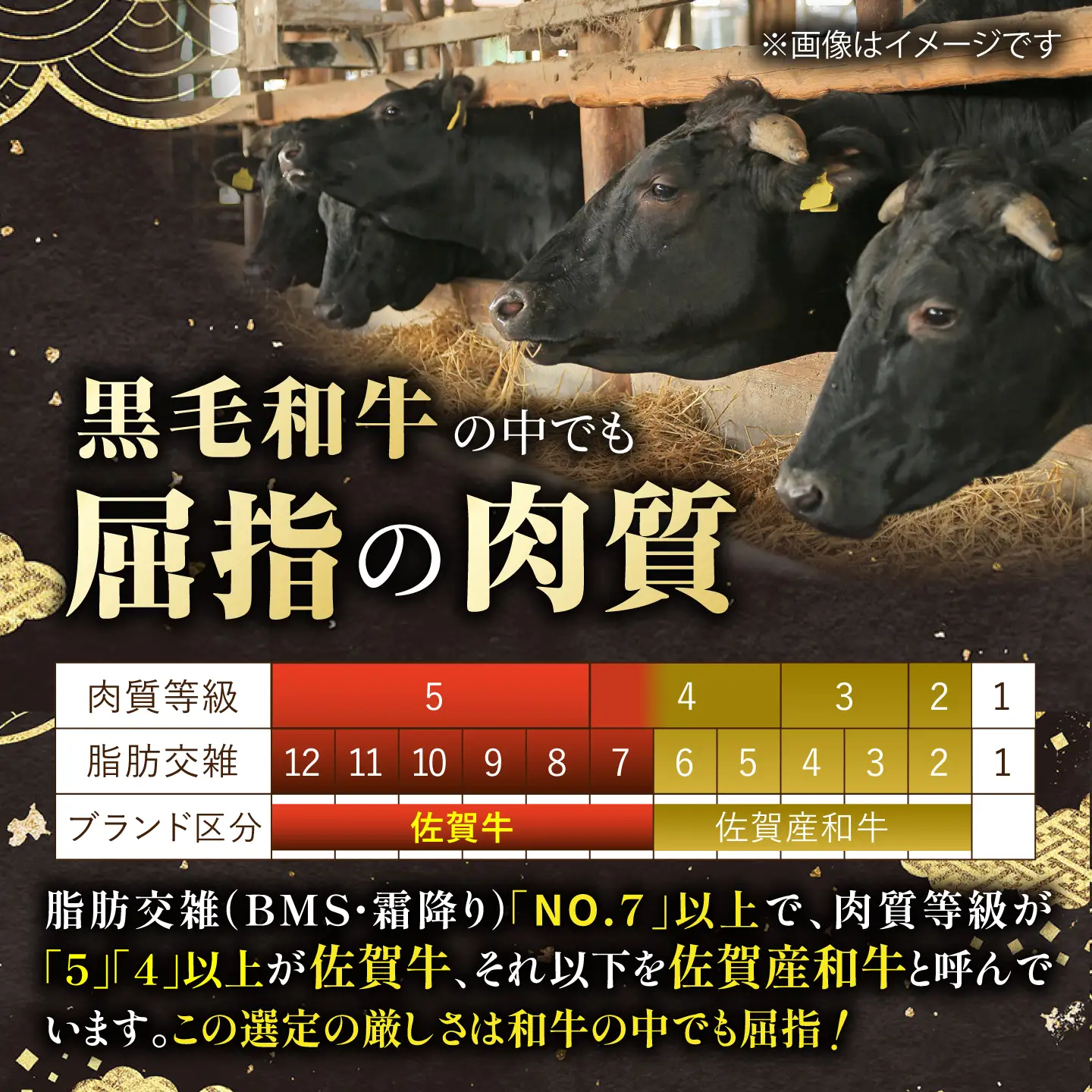 佐賀牛 SPサーロインサイコロ 600g（300g×2パック） 【株式会社いろは精肉店】[IAG238]