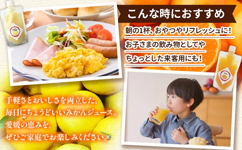 【感謝企画】＜100％ストレートジュース パウチタイプ 160ml×20個（2種類×10）＋パウチゼリー165g×2個＞『1か月以内に順次発送予定』種類はおまかせ 飲み比べ 果物 くだもの フルーツ 柑橘類 みかん 蜜柑 ミカン みかんジュース 飲料 渡江から一歩を踏み出す会 愛媛県 西予市【常温】ATI0066
